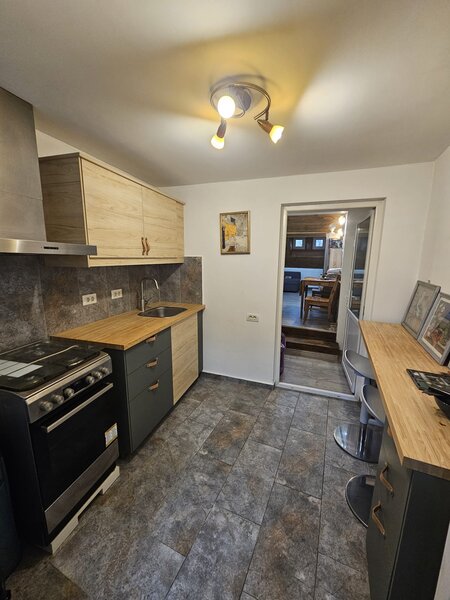 Aurel Vlaicu, Parcul Ioanid,