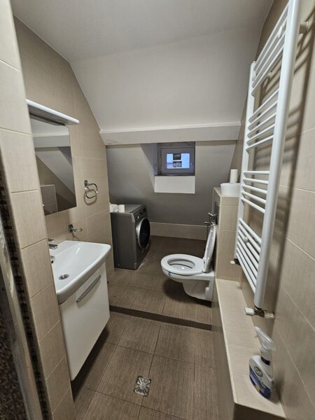 Aurel Vlaicu, Parcul Ioanid,