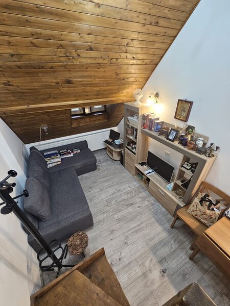 Aurel Vlaicu, Parcul Ioanid,