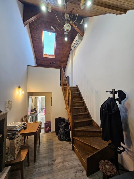 Aurel Vlaicu, Parcul Ioanid,